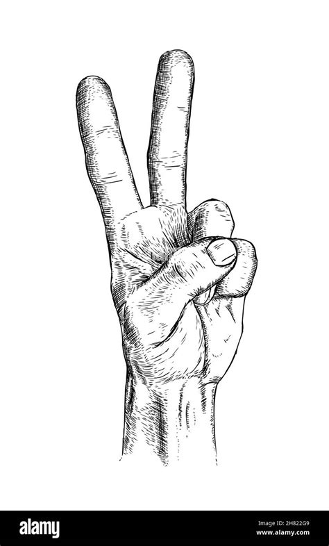 Hand Drawn And Sketched Peace And Love Hand Gesture Symbol Vector