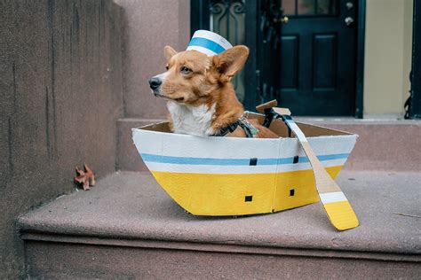 Paper And Plates Boat Costume For Our Dog