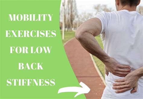 Mobility Exercises For Lower Back Stiffness Trinity Rehab
