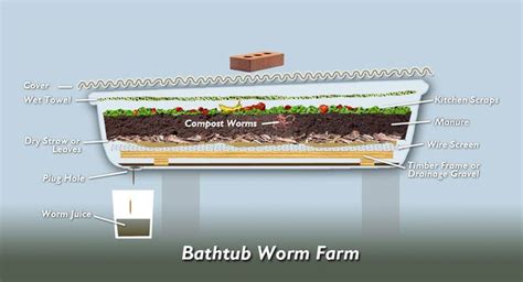 Recycled Bathtub Worm Farm Diagram Worm Farm Worm Farm Diy Worm