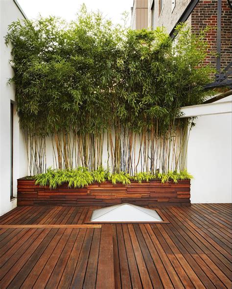 If you are into zen garden, you should try this bamboo fence. 12+ Graceful Roofing Aesthetic Ideas - Bamboo in pots ...