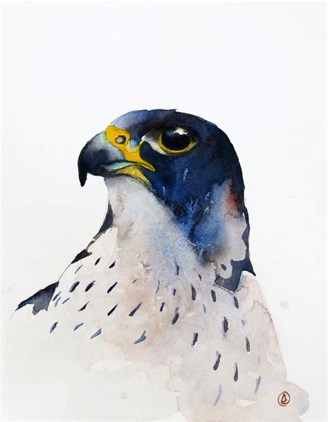 Portrait Of The Peregrine Falcon On Behance