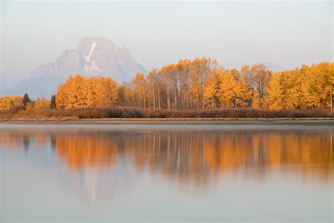 Best Time To See Fall Colors In Grand Teton National Park Wy 2024