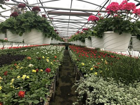Wagner Farms And Greenhouse