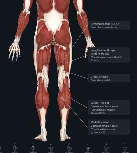 Chronic Calf Tightness Explained