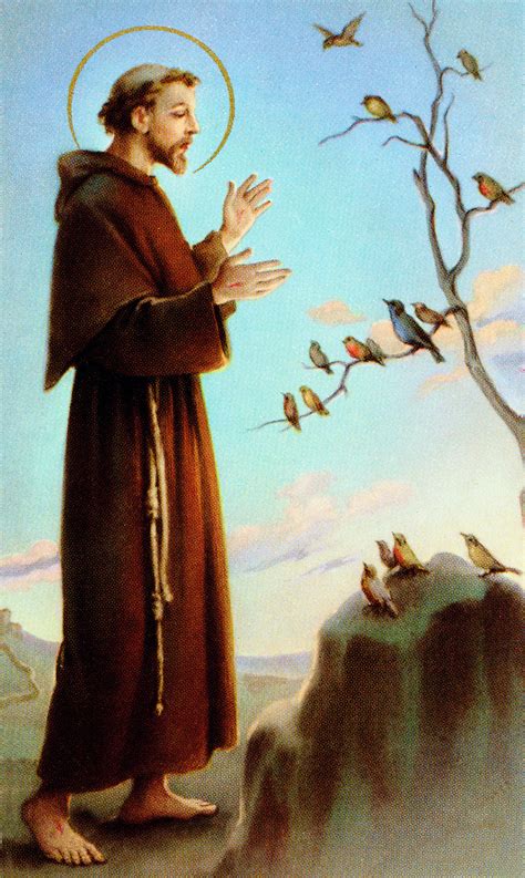 Saint Francis Of Assisi And Birds Armond Scavo Photography