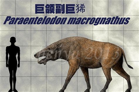 Paraentelodon Macrognathus By Sinammonite On Deviantart Extinct
