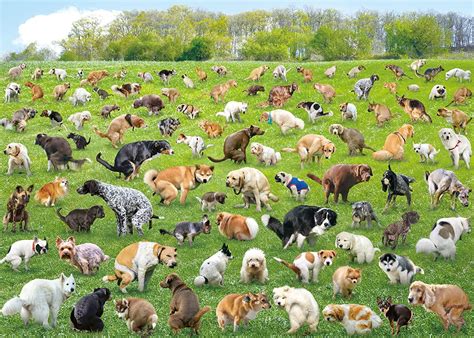 Pooping Puppies Puzzle 1000 Piece Dog Jigsaw Puzzles For Adults 101