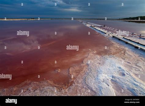 France Aude 11 Gruissan The Salt Marshes Of The Island Of St Martin