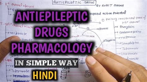 Antiepileptic Drugs Pharmacology Epilepsy In Hindi Anticonvulsant