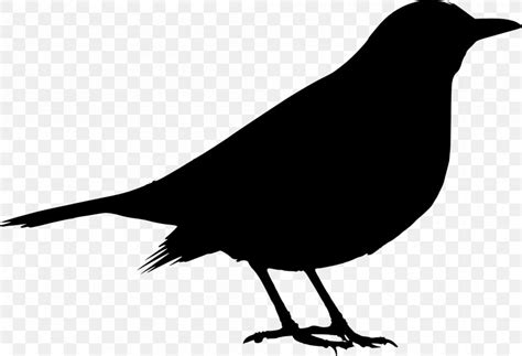 Common Blackbird Silhouette Clip Art Png 2000x1367px Bird American