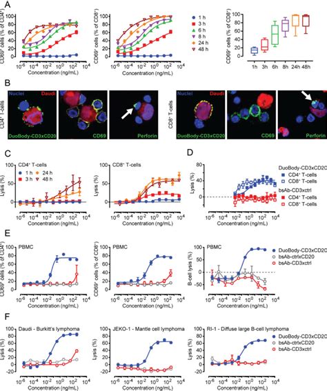 DuoBody CD XCD Induces Potent T Cell Mediated Killing Of Malignant B