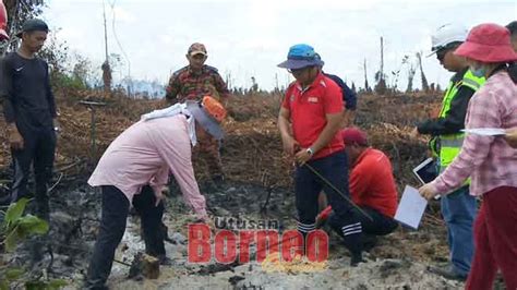 Proses dekomposisi yang tidak sempurna ini dikarenakan jumlah bakteri yang kurang. Tanah gambut tidak diurus mudah terbakar | Utusan Borneo ...