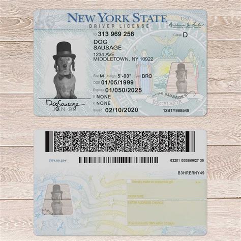 New York Driver License Template Driver License Template