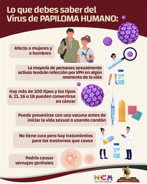 Conociendo El Vph Virus Papiloma Humano Universidadperu Hot Sex Picture