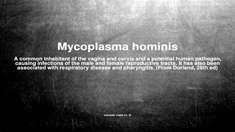 Medical Vocabulary What Does Mycoplasma Hominis Mean Youtube