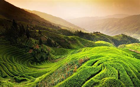 Nature Landscape Rice Paddy China Mountain Mist Sunrise Trees
