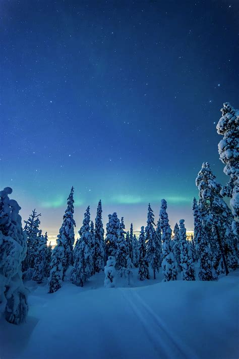Landscape Winter Nature Trees Night Snow Hd Phone Wallpaper Pxfuel