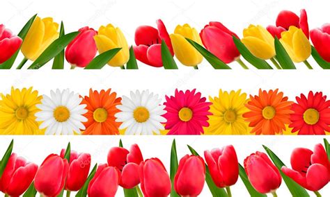Spring Flower Borders Vector Stock Vector Image By ©allegrio 22564419