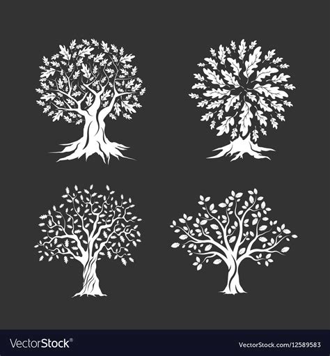 Beautiful Oak Trees Silhouette Set Royalty Free Vector Image