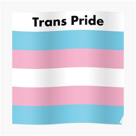 Trans Pride Flag Poster For Sale By Ideasforartists Redbubble