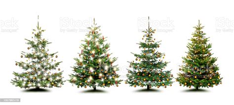 Beautiful Christmas Trees Exposed On White Background Stock Photo