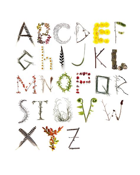 Nature Alphabet Letters Font