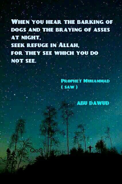 hadith saying of prophet muhammad saw abu dawud islamic teachings islamic quotes islamic