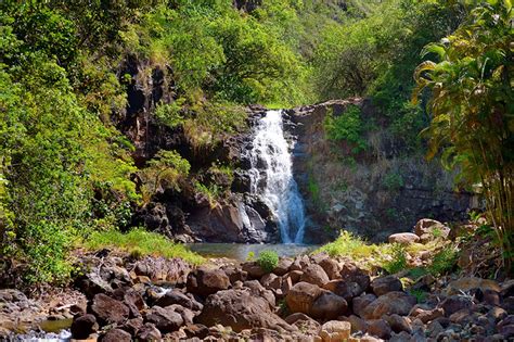 Waimea Falls Hiking Information Photos And More Oahu Hawaii