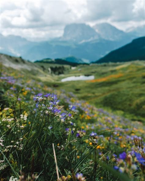 A Guide To Hiking Seceda Dolomites Taverna Travels