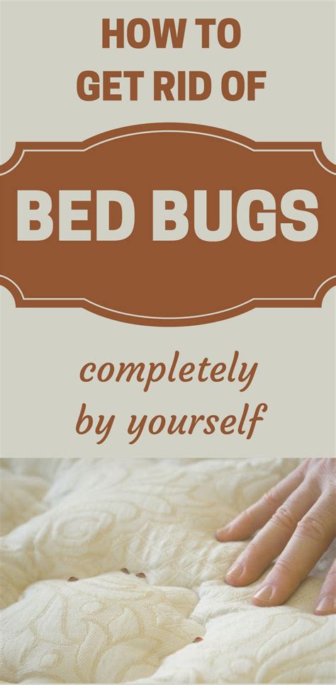 How To Get Rid Of Bed Bugs Completely By Yourself Rid Of Bed Bugs