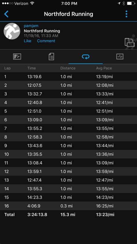 Dopey Challenge 15 Mile Training Run Wife Mother Runner