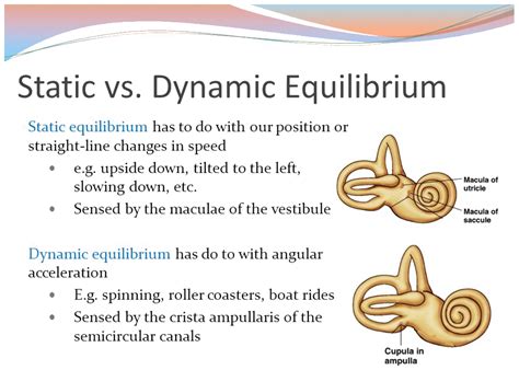 What Is Meant By Static Balance And Dynamic Balance