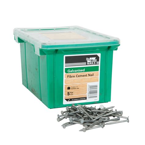 NZ Nails 50 x 2.8mm 5kg Galvanised Fibre Cement Head Nails - Bunnings