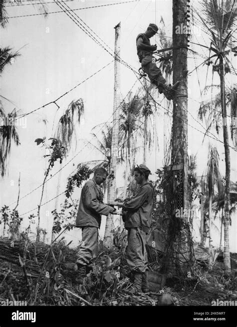 Installing A Communication Test Station Near The Front Lines On The Arawe Peninsula New Britain