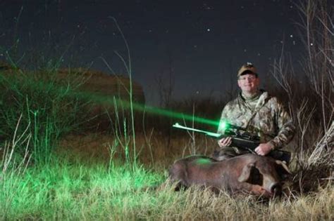 Top 10 Best Predator Hunting Lights In 2023 Reviews Battle Rifle Company