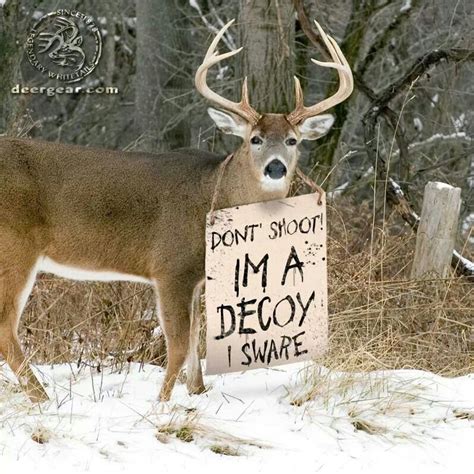 Hahaa Decoy Hunting Quotes Funny Hunting Humor Deer Hunting Humor