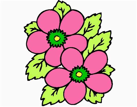 Desenhos De Flores Coloridas Para Imprimir Coisas Pra Ver