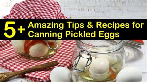 5 Amazing Tips And Recipes For Canning Pickled Eggs Pickled Eggs
