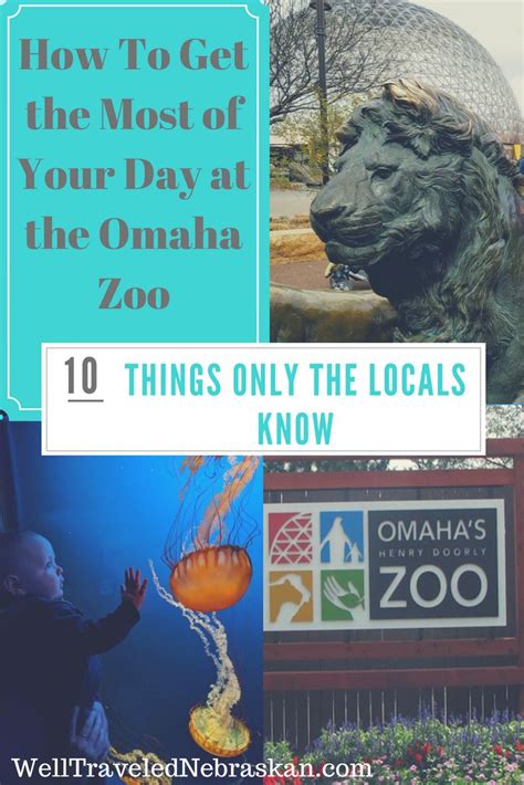 The Zoo With Text Overlay That Reads How To Get The Most Of Your Day At