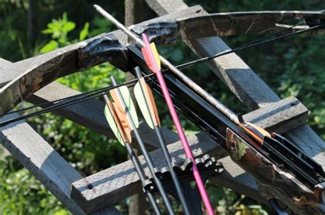 Crossbow Bolts The Ultimate Guide Crossbowshq