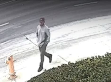Police Search For Sexual Battery Suspect Who Body Slammed Groped Woman Long Beach Post News
