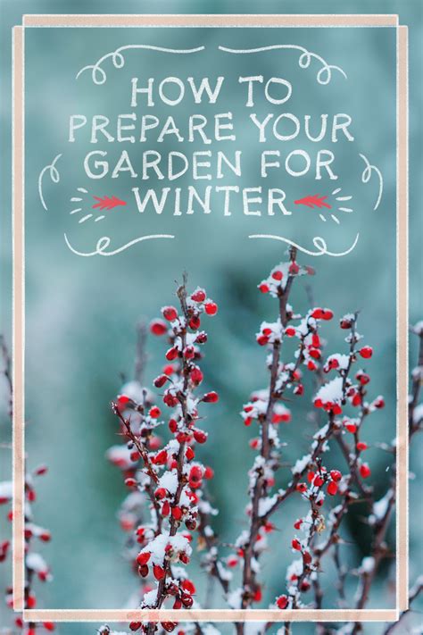 Tips For Readying Your Garden For Winter Healthy Garden Winter Garden