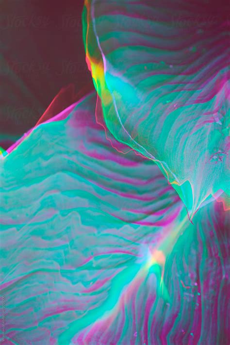 Vibrant Colorful Plant Backgroundwallpaper Del Colaborador De