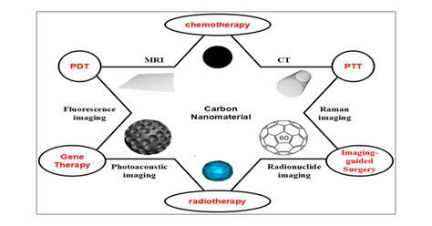 Multifunctional Carbon Based Nanomaterials Applications In