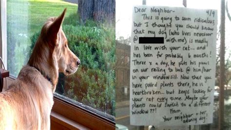 Dog Owner Leaves Note On Neighbors Door And Gets Heartwarming Response