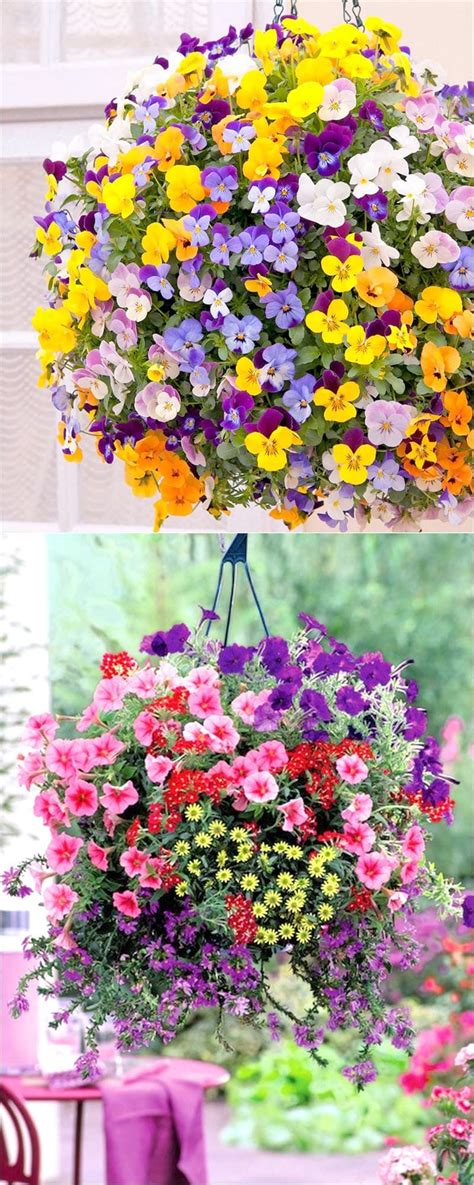 15 Beautiful Flower Hanging Baskets And Best Plant Lists Hanging Plants Hanging Plants Outdoor