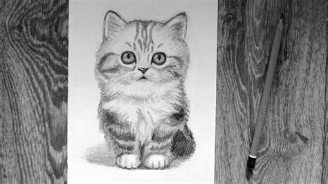 Как нарисовать кота карандашом Подробный урок Youtube