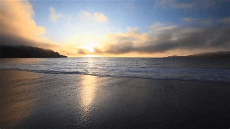 Resort beach zoom virtual background video. Beach GIF - Find & Share on GIPHY
