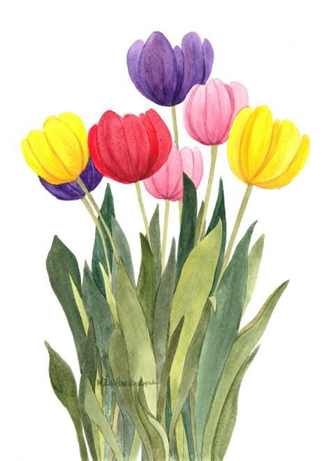 Multi Colored Tulips Original Watercolor By Wanda Zuchowski Schick